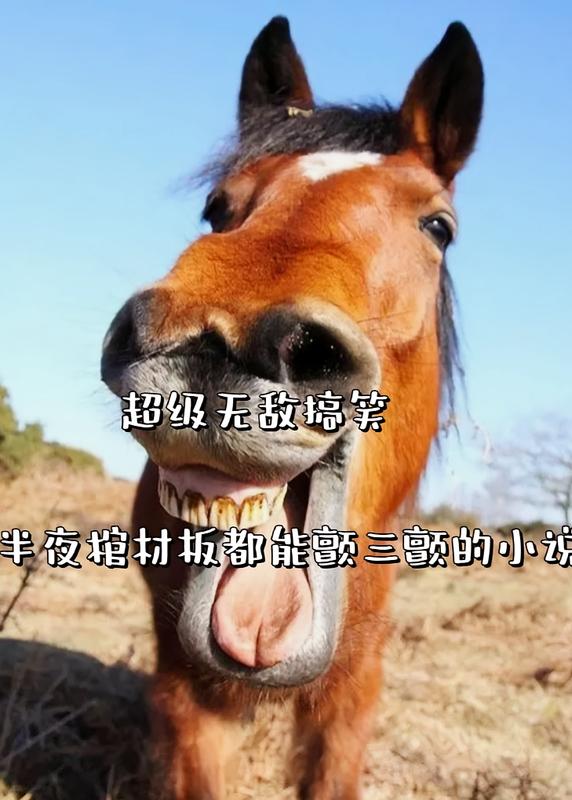超級無敵搞笑半夜棺材板都能顫三顫的小說