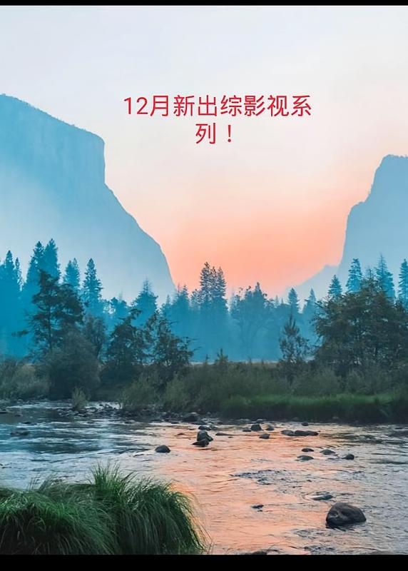 新出綜影視系列！